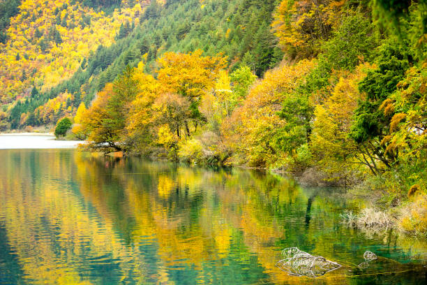 istock Jiuzhaigou National Park, China. 883034312