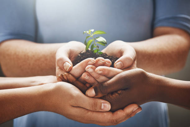 istock Things grow when you nurture it together 883034418