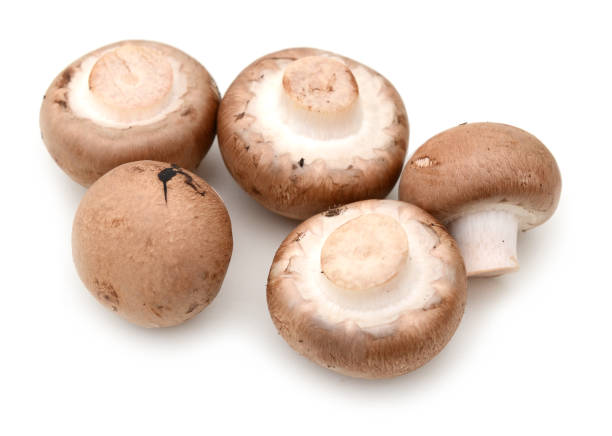 istock Champignon mushrooms. isolated on white background 883034566