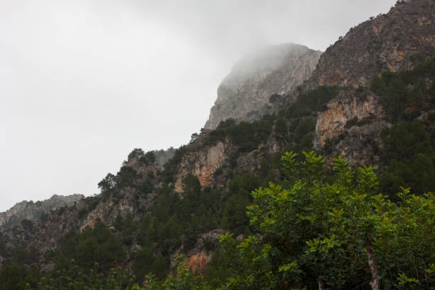 istock View of Es Cornador Gran peak covered with clouds. Soller, Majorca, Spain 883038296
