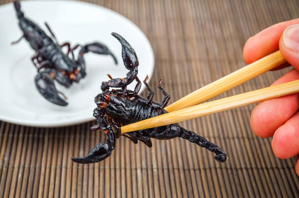fried black scorpion delicious fried black scorpion in chopstick chinese slum stock pictures, royalty-free photos & images