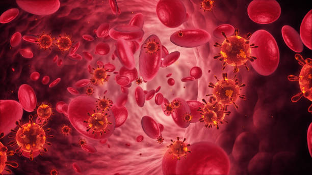 Blood cells and bacterium 3d render Blood cells and bacterium (depth of field) human blood stock pictures, royalty-free photos & images