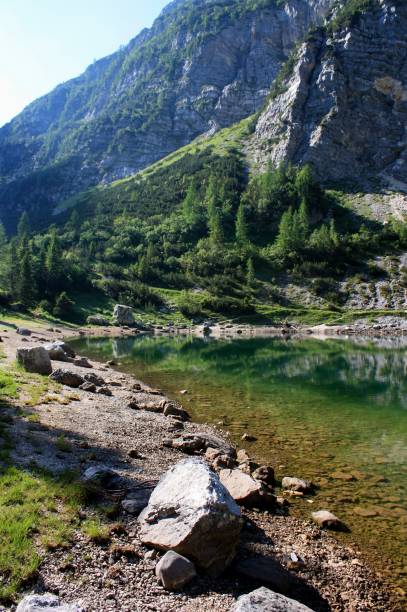 istock Krn lake in Bohinj, Slovenia 883048570