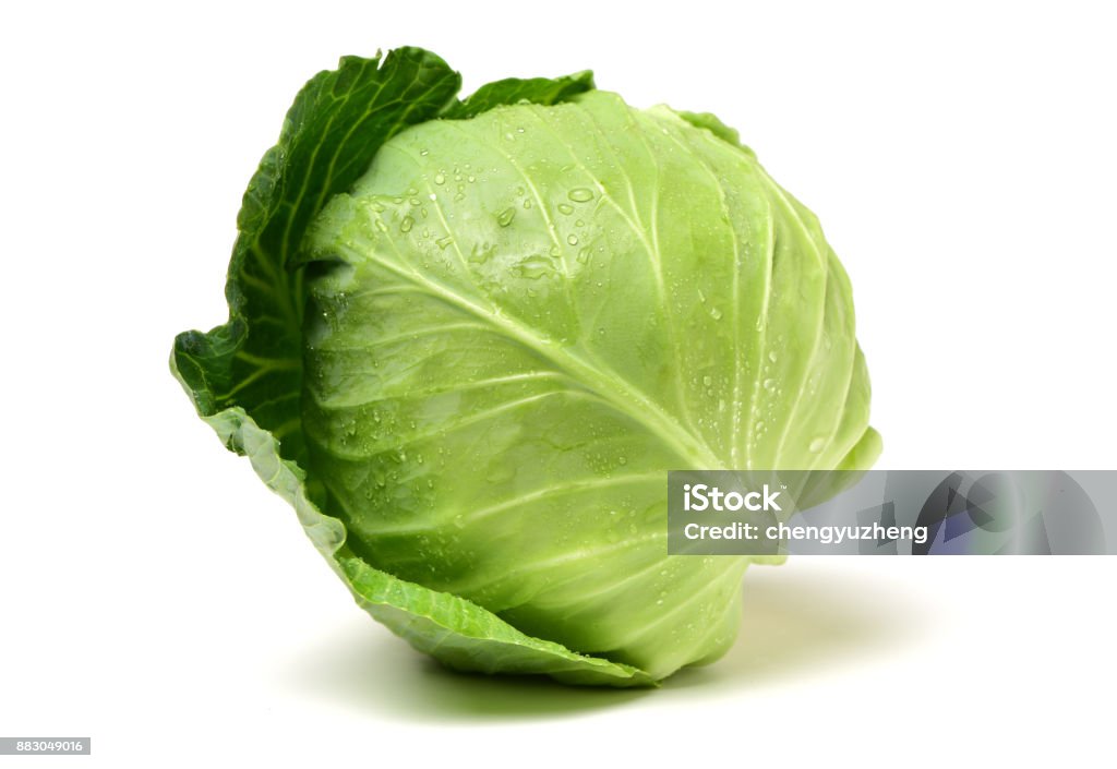 Green cabbage  isolated  on white background Cabbage Stock Photo