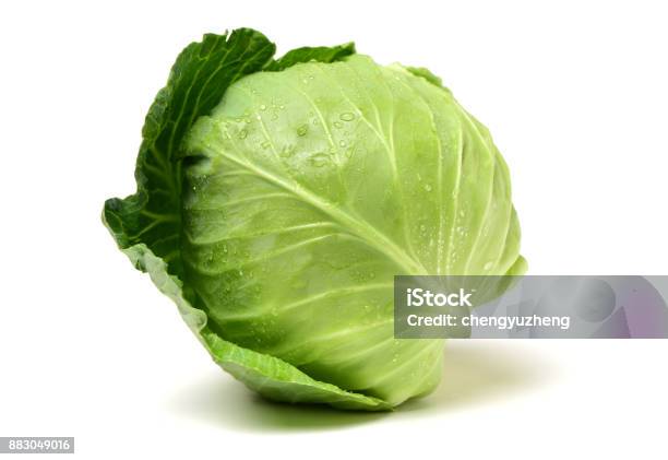 Green Cabbage Isolated On White Background Stock Photo - Download Image Now - Cabbage, Green Cabbage, White Background