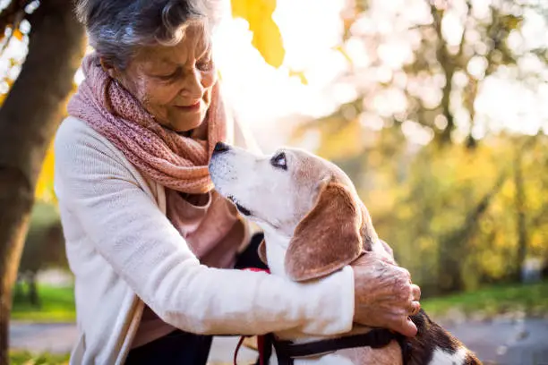 Photo of An elderly woman with dog in autumn nature.