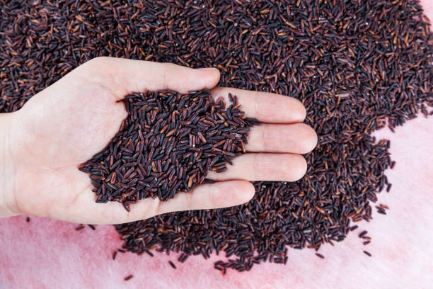 istock Organic rice on women hand 883054468