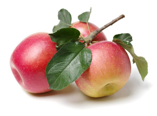 istock Apple with stem and leaves  Isolated on White background 883054842