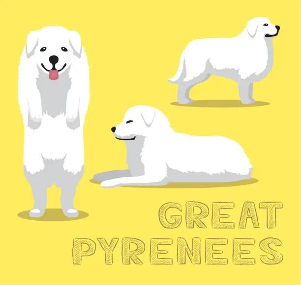 Vector illustration of Dog Great Pyrenees Cartoon Vector Illustration