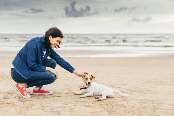 istock Friendship between woman and dog 883057982