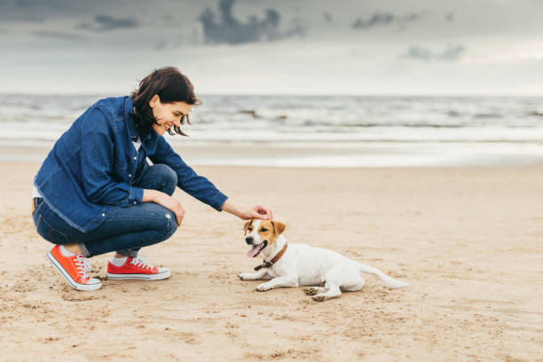 istock Woman flatters dog. 883057984