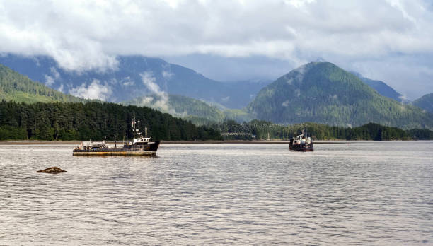 barche da pesca nel porto di sitka - sitka foto e immagini stock