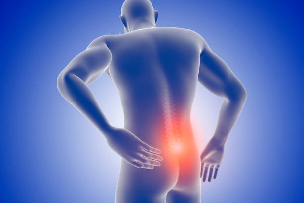 ból pleców uraz męski 3d body spine - backache lumbar vertebra human spine posture zdjęcia i obrazy z banku zdjęć