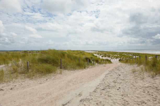 istock Driveway to the sea 883065658