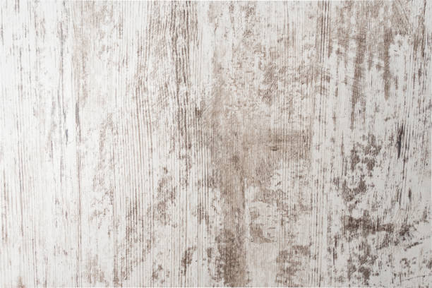 sfondo in legno grunge vecchio dipinto di bianco, trama di legno vuoto bianco - bosco foto e immagini stock