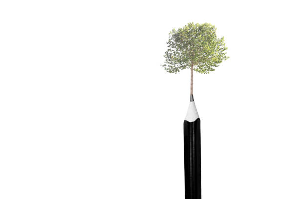 Environment conceptual tree on top of the pencils isolated in white background