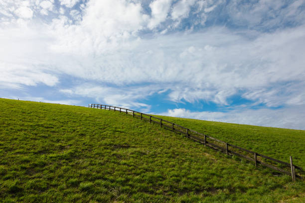 зеленый холм с забором - schoorl стоковые фото и изображения