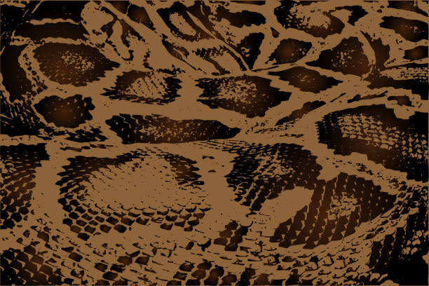 illustrazioni stock, clip art, cartoni animati e icone di tendenza di python - modello astratto vettoriale - snakeskin snake print python