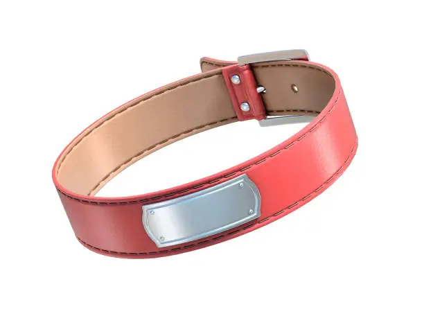 red dog collar isolated on white