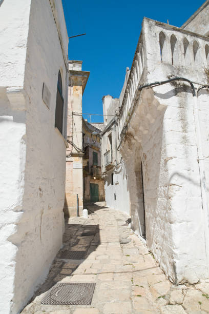 istock Mr Alleyway. Missive chicks. Apulia. Italy. 883079824