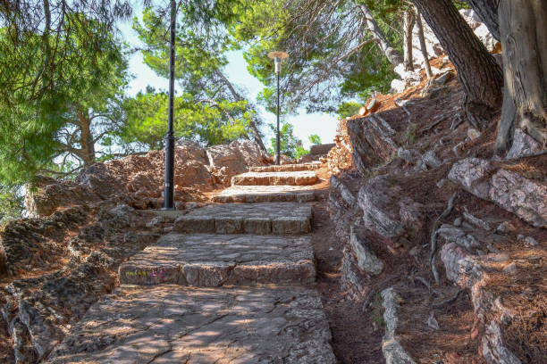 istock Stone staircase in a pine forest. Sunlight falls on the stone steps 883080534