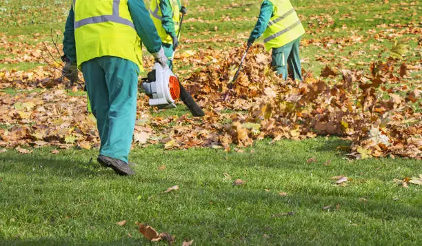 Workers cleaning fallen autumn leaves with a leaf blower