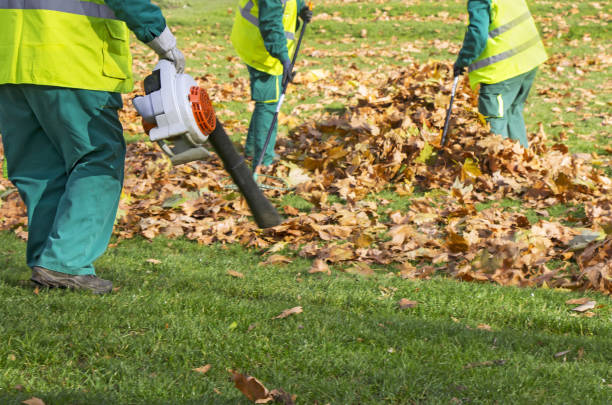 istock Workers cleaning fallen autumn leaves with a leaf blower 883080628