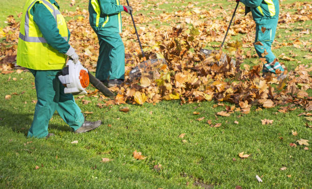 istock Workers cleaning fallen autumn leaves with a leaf blower 883080634