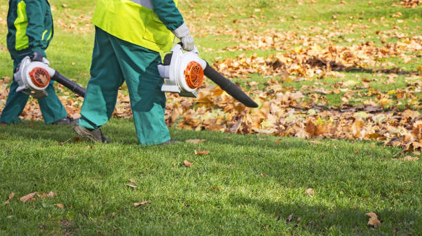 istock Workers cleaning fallen autumn leaves with a leaf blower 883080636