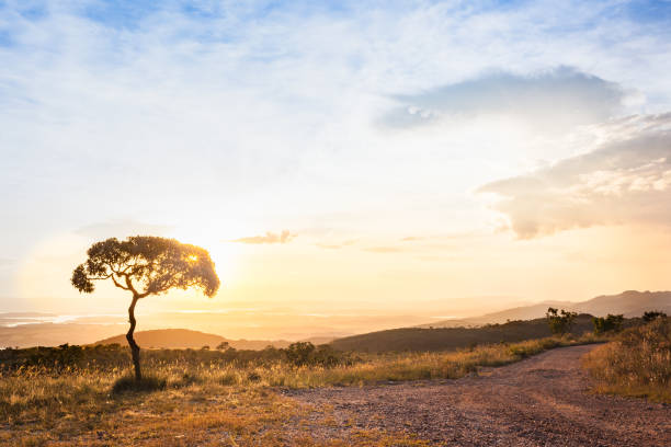 istock Sunset at Serra da Canastra National Park - Delfinopolis, Minas Gerais, Brazil 883088262