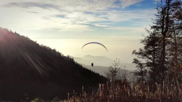 Free like the wind - Paraglider flying in the air