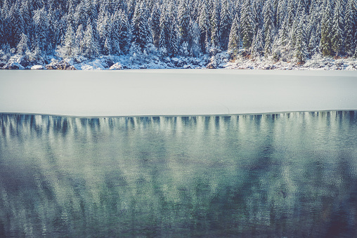 A snowy winter day at Beaver Lake Regional Park, located on southern Vancouver Island.