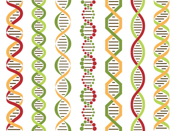 Dna X Pattern 4,400+ Dna Helix Pattern Illustrations, Royalty-Free Vector Graphics ...