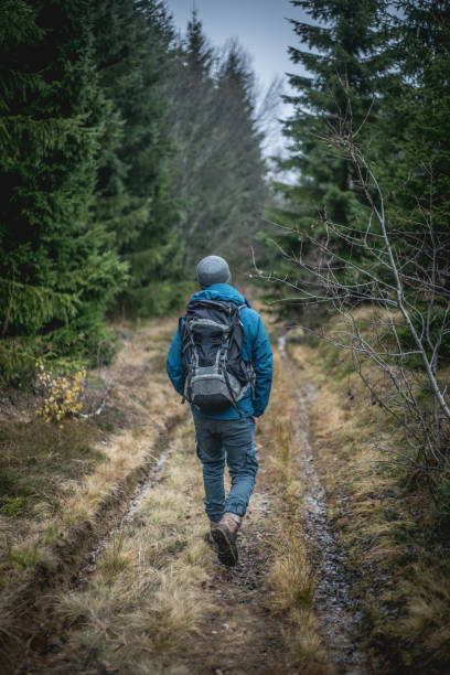 istock Lonely hiker in the forest 883095658