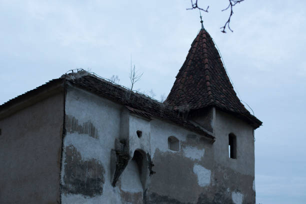 istock Brasnov in Winter 883095834