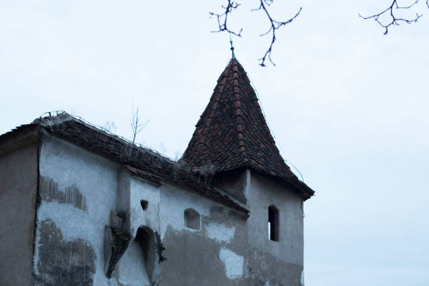 istock Brasnov in Winter 883095856