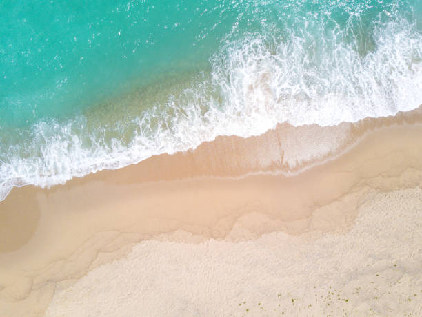 istock Aerial view of sandy beach and ocean with waves 883110500