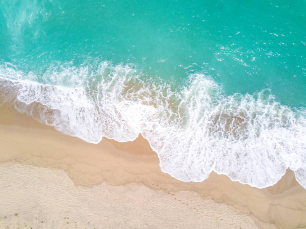 istock Aerial view of sandy beach and ocean with waves 883110754