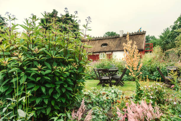 istock Cute little cottage in Sweden 883114852