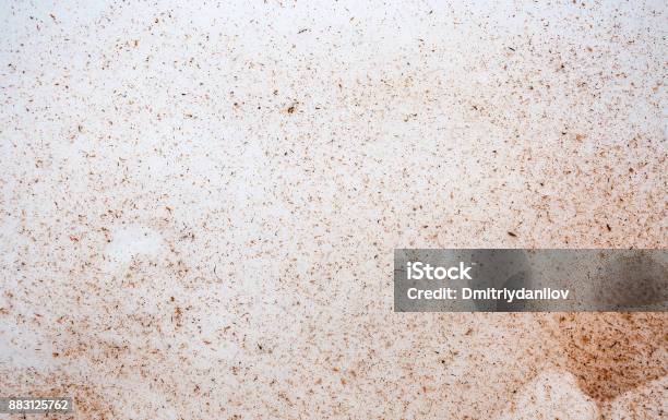 Texture Of Sawdust In The Snow Stock Photo - Download Image Now - Sawdust, Wood - Material, White Background