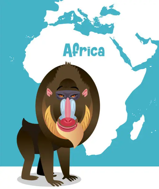 Vector illustration of Baboon