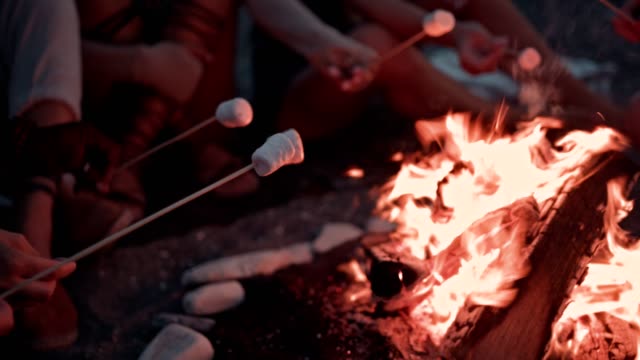 Multi-ethnic men and women roasting marshmallows on skewers over campfire