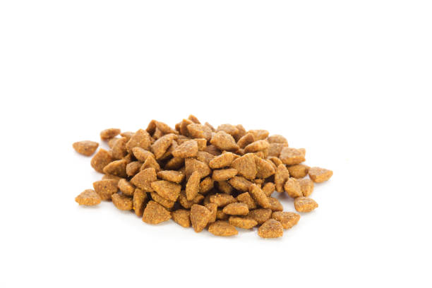 istock Dog food on white background 883133172