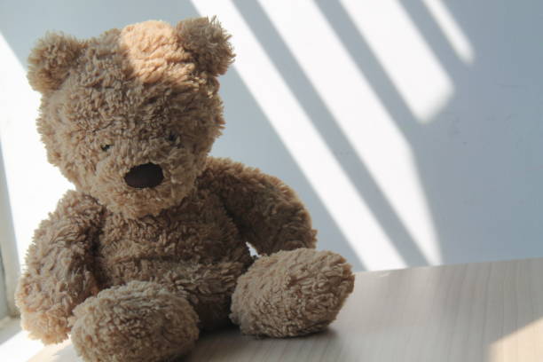 istock Brown Bear toy sitting by the window in shadows 883139540