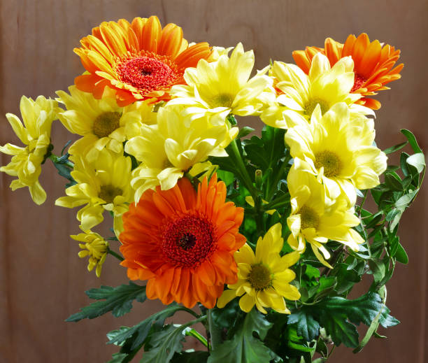 istock yellow and orange chrysanthemums on wood background 883139926