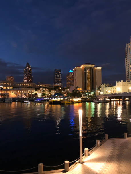 istock Tampa City Skyline at Night 883143660