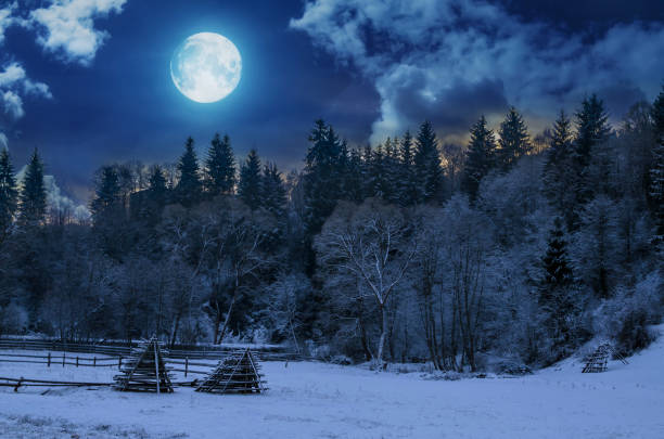 istock Beautiful night in winter. Mountain landscape 883153944