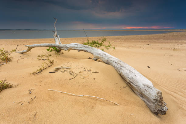 istock Storm clouds over sand beach at Baltic sea 883156916