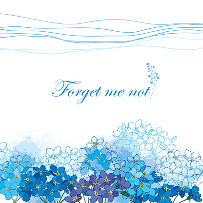 Vector background with outline Forget me not or Myosotis bunch in pastel blue on the white background. Greeting card with Forget me not flower in contour style for spring design or romantic decor.