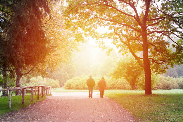 Couple walking in the park in autumn stock photo